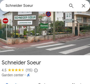 Schneider Soeur